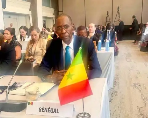Francophonie&nbsp;: le Sénégal réaffirme son engagement lors d’une session ministérielle consacrée à la gouvernance de l’OIF